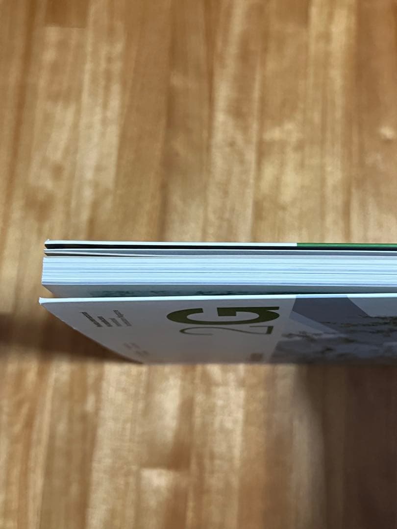 2G No.50 Sou Fujimoto 藤本壮介　建築　雑誌
