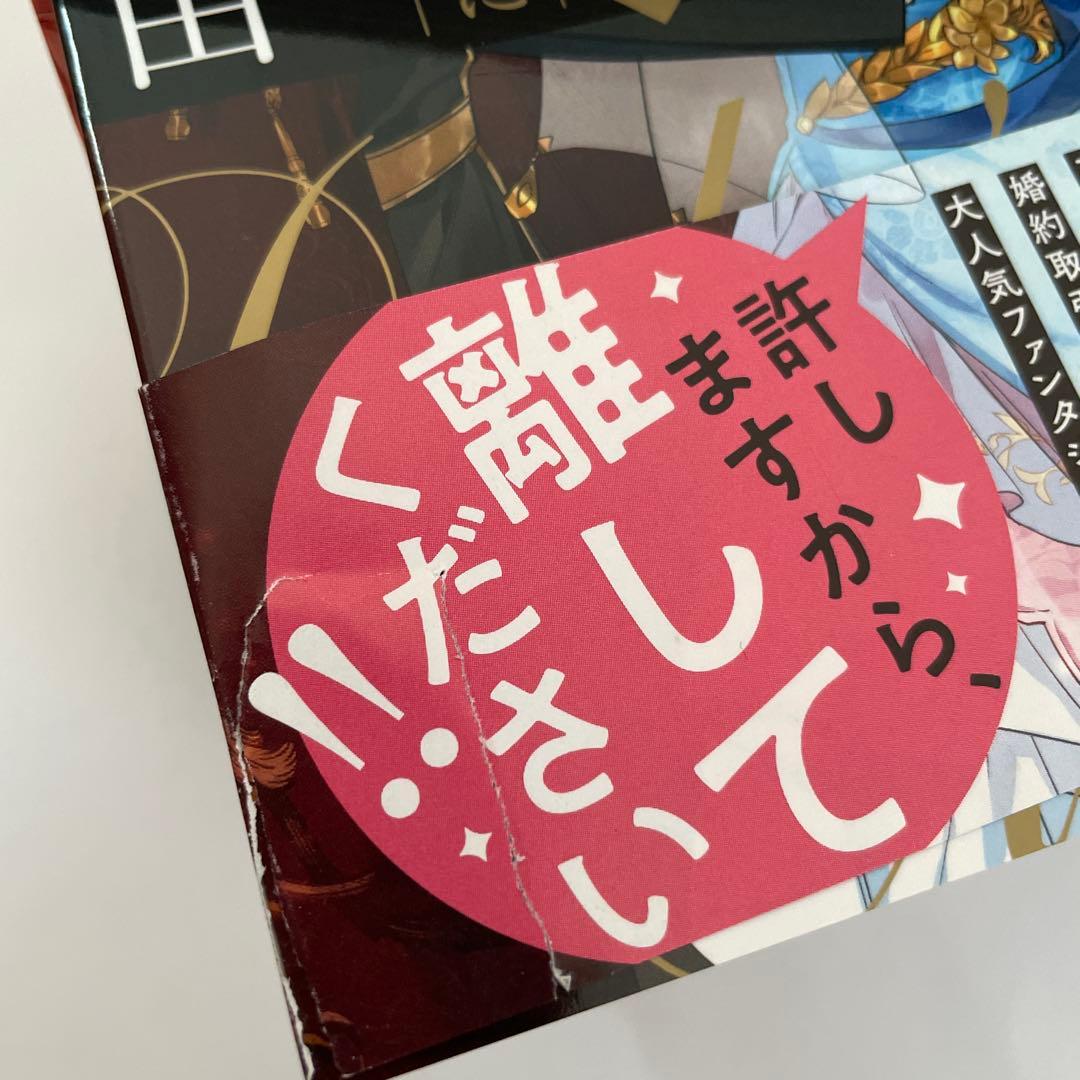 彼女が公爵邸に行った理由1〜14巻【全巻】
