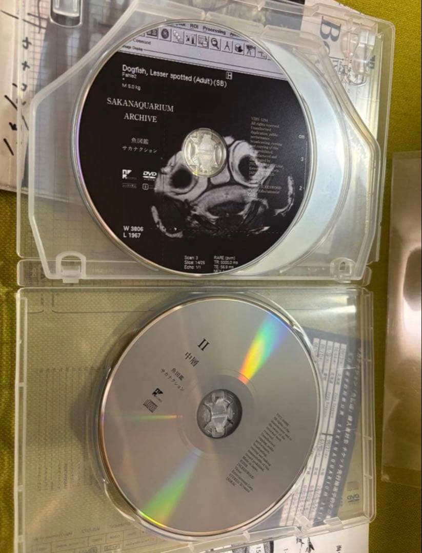 サカナクション　魚図鑑　2CD1DVD チケットホルダー付き