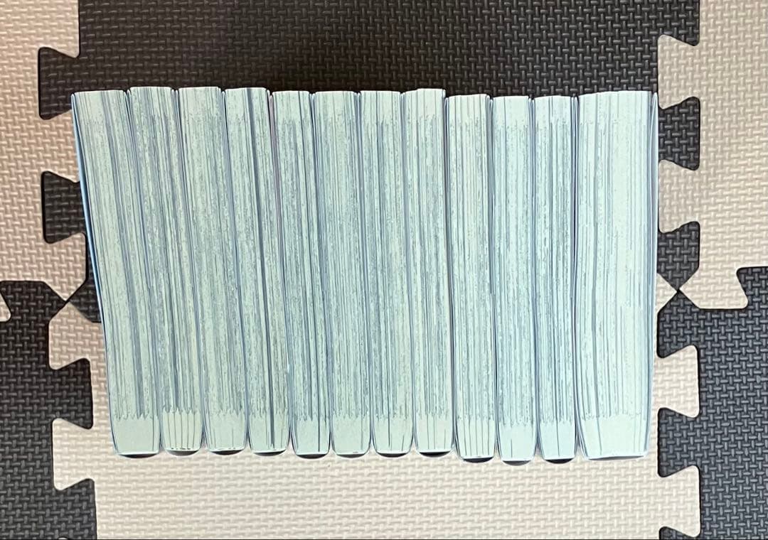天国大魔境 ネムルバカ 12冊セット 石黒正数