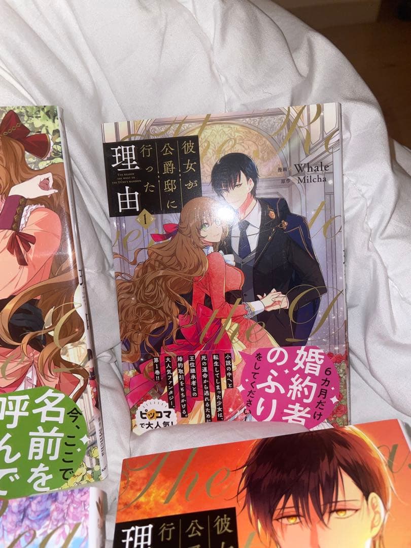 彼女が公爵邸に行った理由　1〜9巻