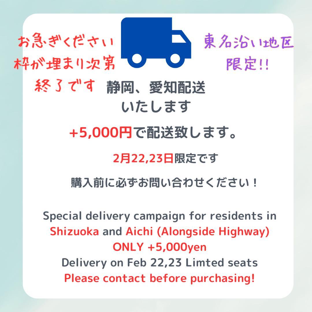 愛知静岡配送可 超特価 ピンク アニーズ 電動アシスト自転車 H1234