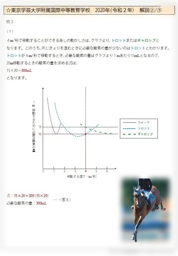 東京学芸大学附属国際中等教育学校　入学試験問題解答・解説集