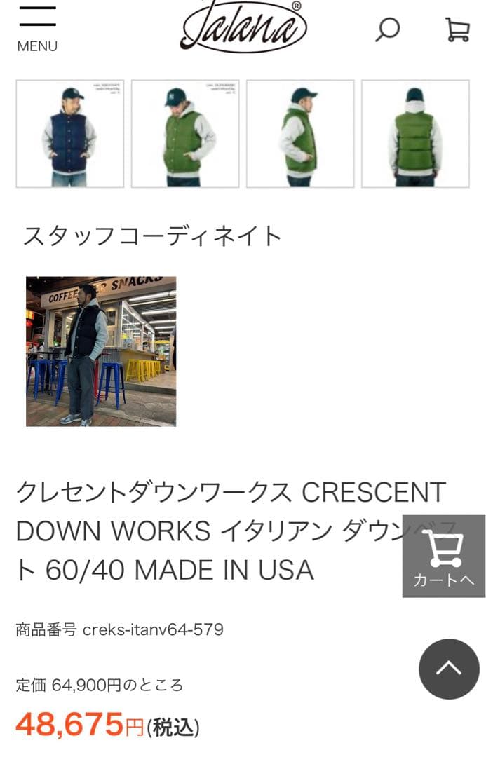 【美品】『激レア』Crescent Down Works グースダウンベスト