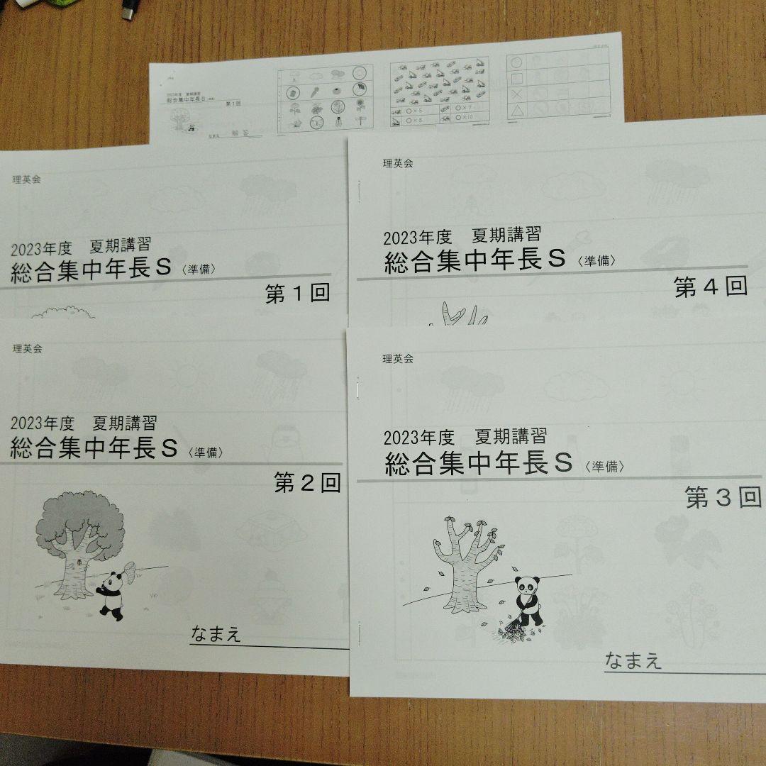 2023年度　理英会　夏期講習　総合集中S 準備　基本　総合　個別課題用プリント
