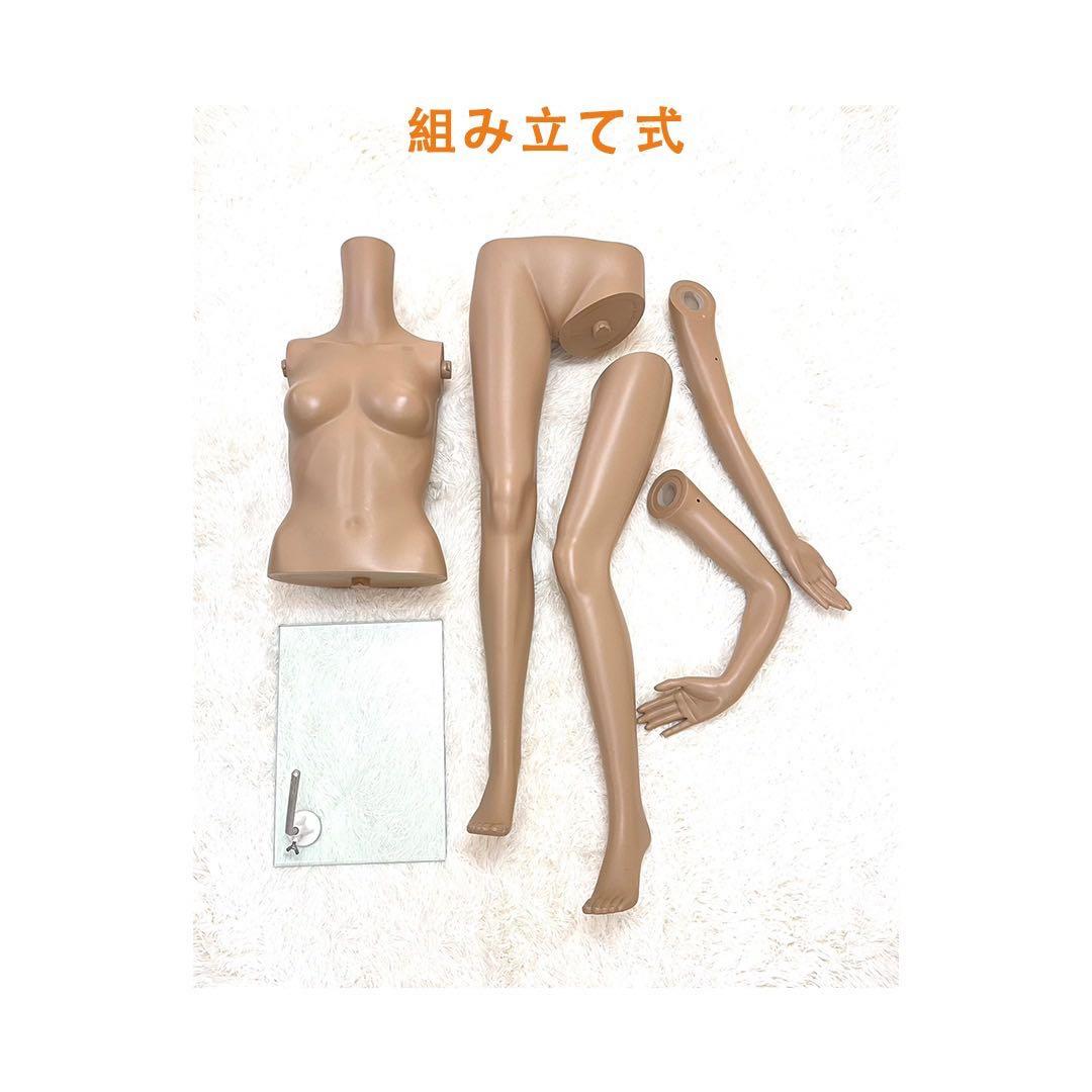 【送料無料】マネキン 女性用 全身 軽量 レディース トルソー / 美品