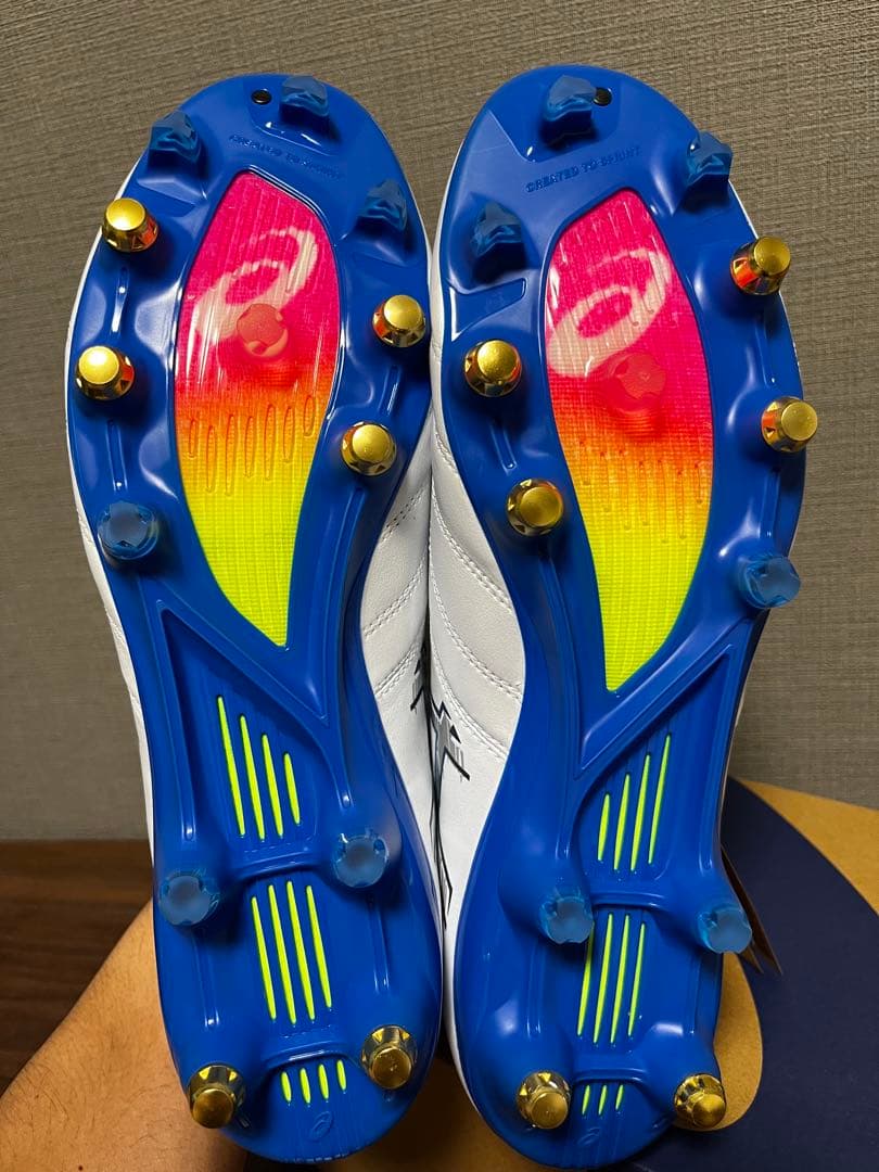 シューズ ASICS DS LIGHT X-FLY PRO 3 ST 29.0