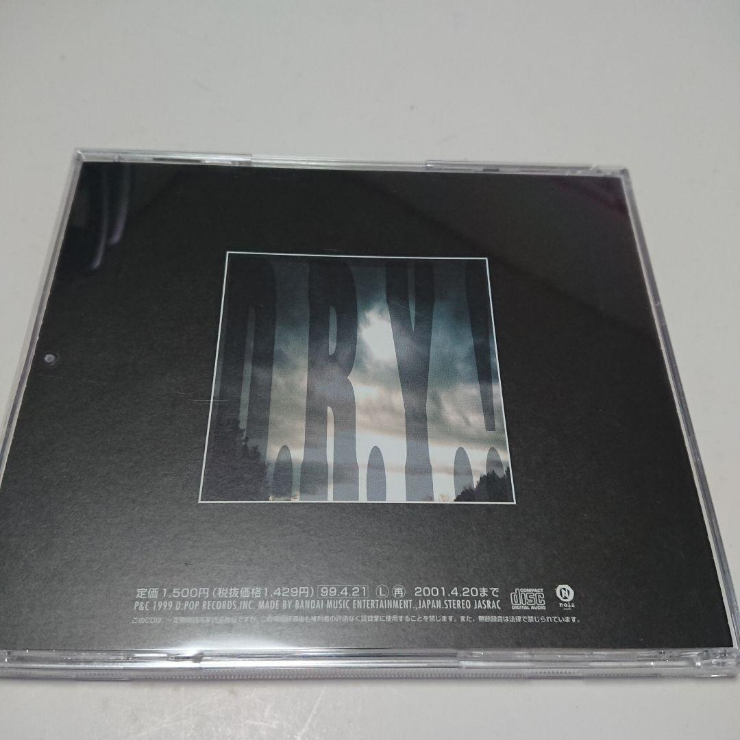 【若井望が在籍したバンド！】WINFIELD ウィンフィールド/D.R.Y.?