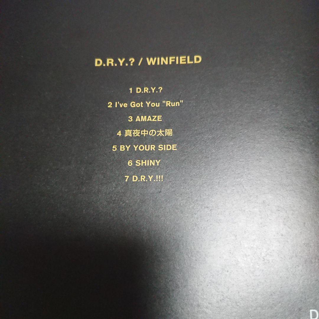 【若井望が在籍したバンド！】WINFIELD ウィンフィールド/D.R.Y.?