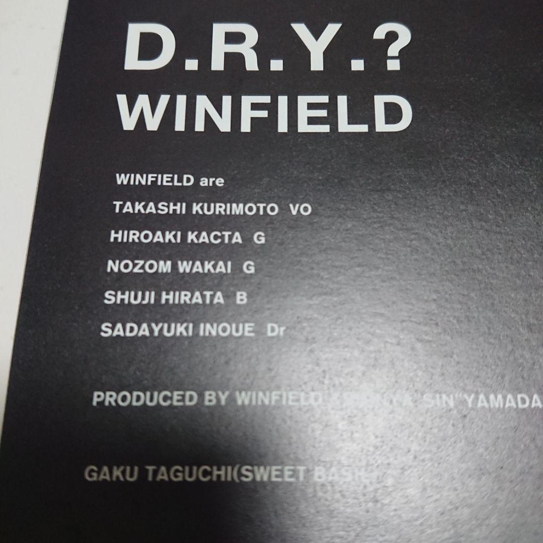 【若井望が在籍したバンド！】WINFIELD ウィンフィールド/D.R.Y.?