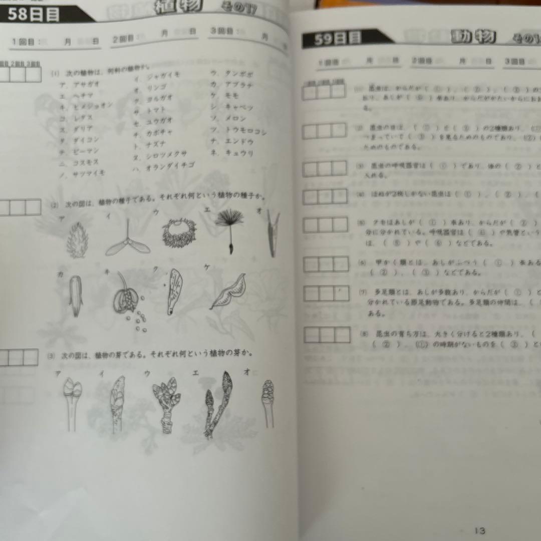 浜学園 小6 理科セット　2024年発行