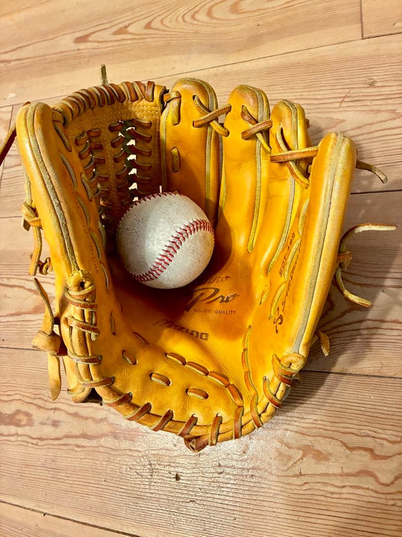 【タイムセール】Mizuno Pro (ミズノプロ) グローブ