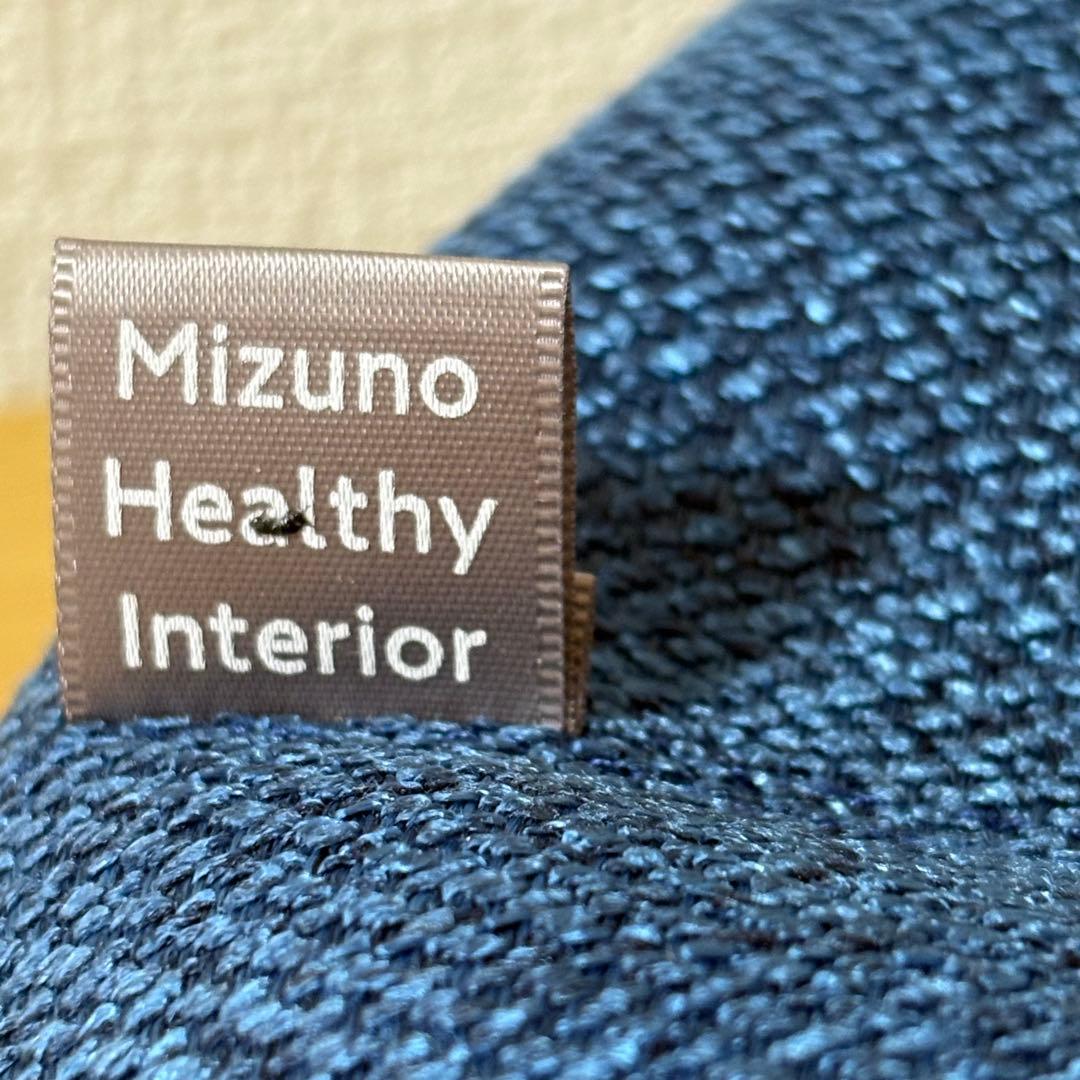 MIZUNO ル・プリエスクワット ヘルシーインテリア カバー付き