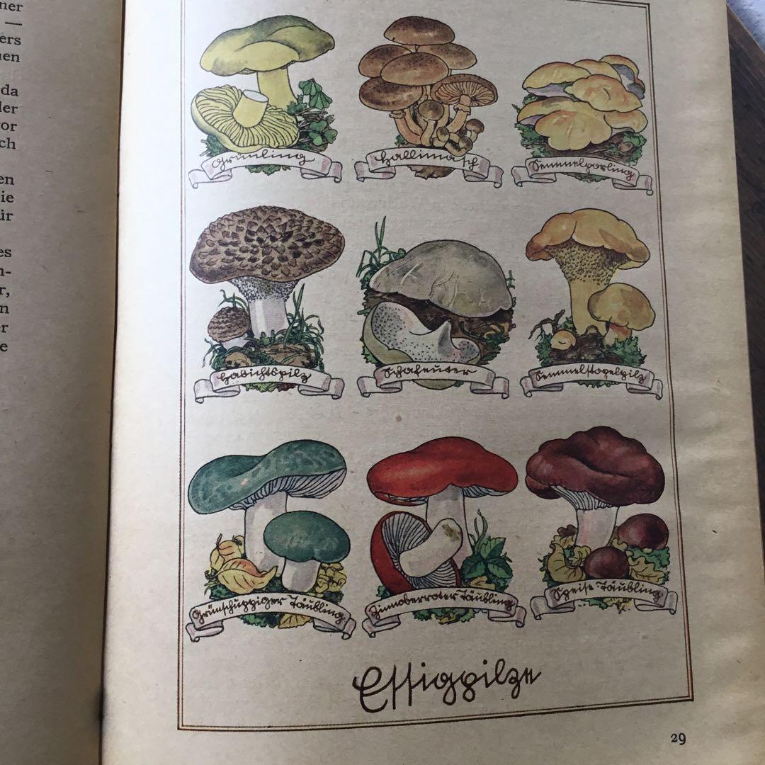 洋書　ドイツ絵本　古書