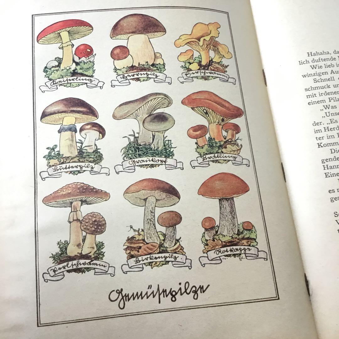 洋書　ドイツ絵本　古書