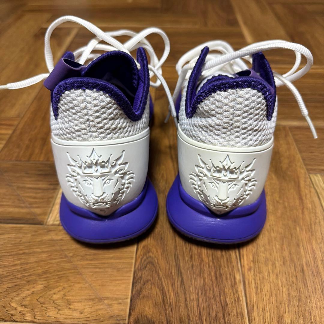 ナイキバッシュ　レブロン ウィットネス4
