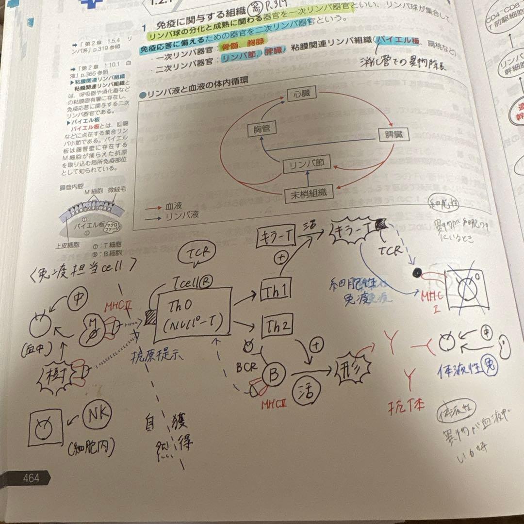 110回薬剤師国家試験対策参考書 青本 青問 全巻セット　書き込みあり
