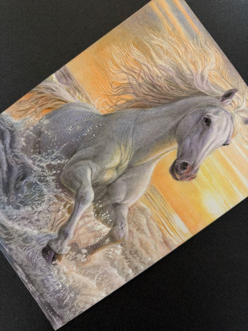 色鉛筆画 A4 波を越える白馬