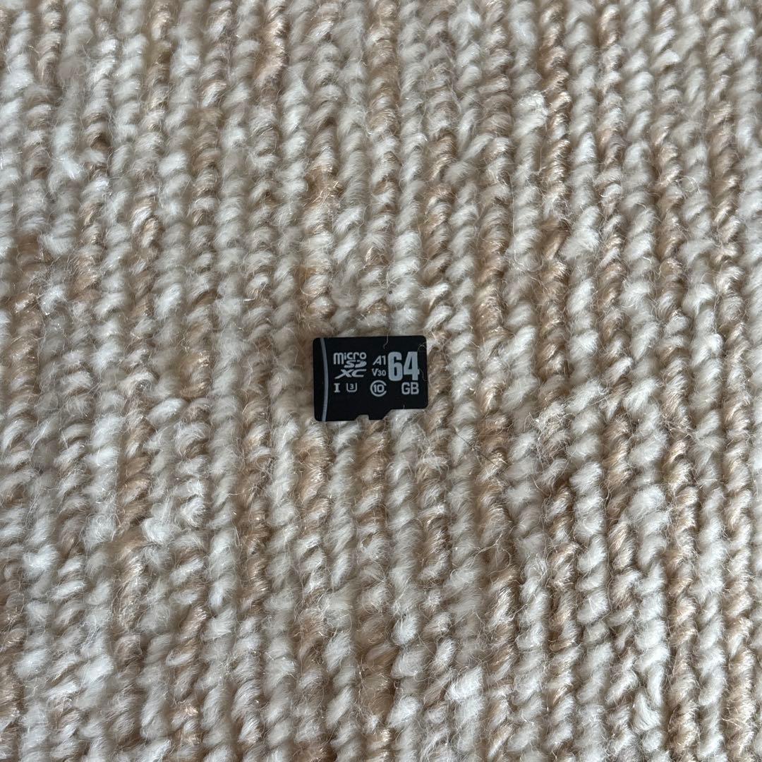 NintendoSwitchlite ディアルガパルキア microSD ダイパ