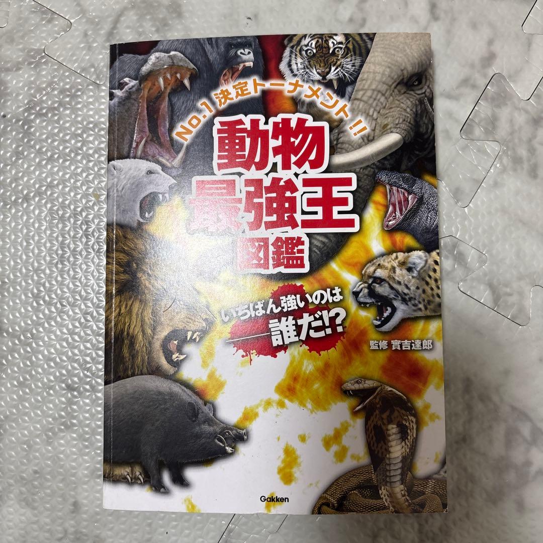 最強王図鑑 まとめ 児童本 現状品
