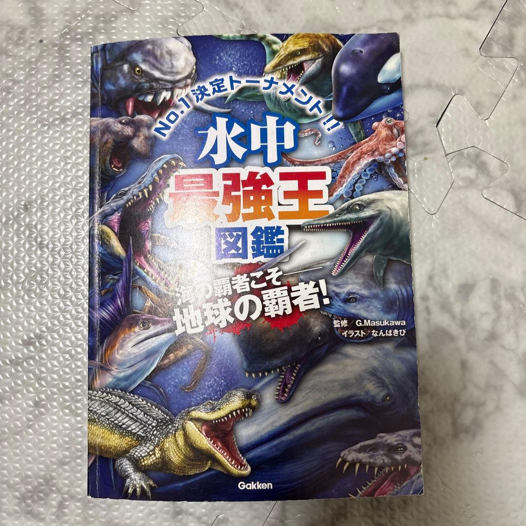 最強王図鑑 まとめ 児童本 現状品