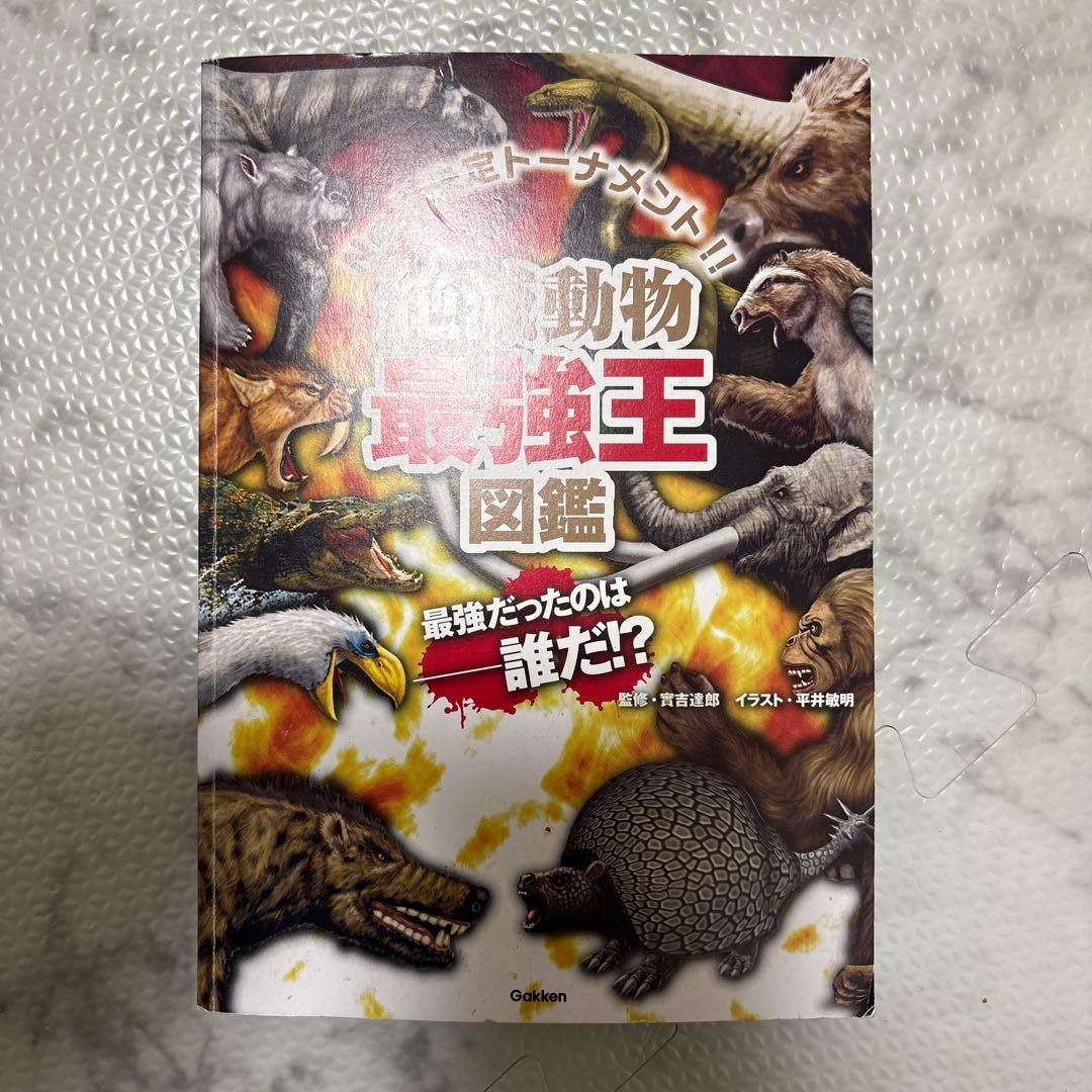 最強王図鑑 まとめ 児童本 現状品