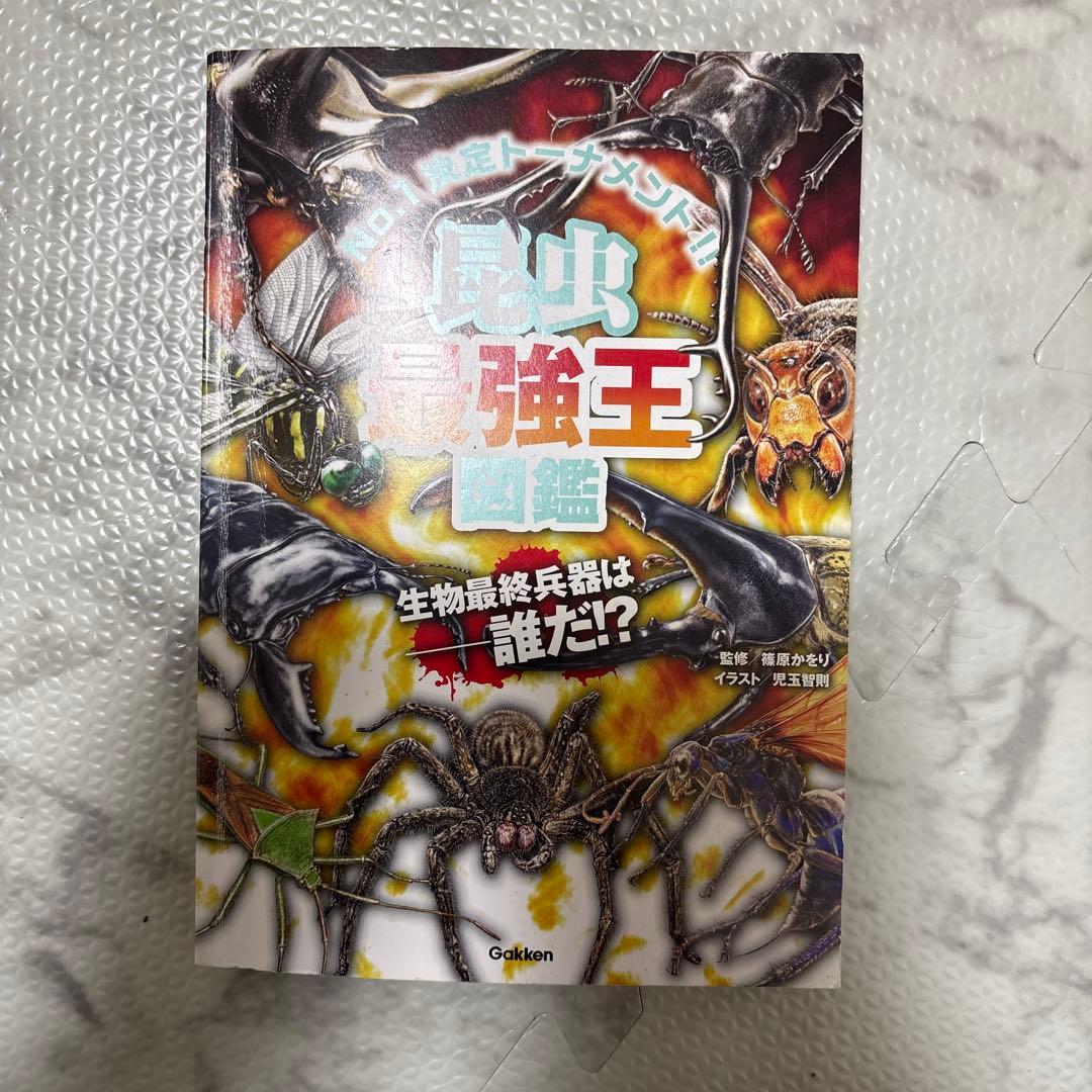 最強王図鑑 まとめ 児童本 現状品
