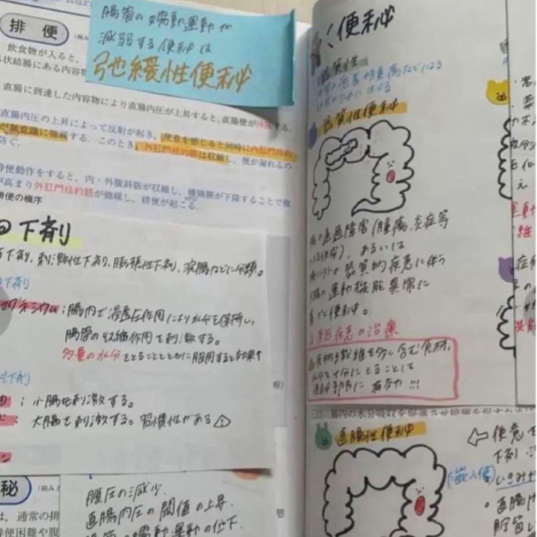 希望額セール！　大好評！付箋700枚　看護学生　看護師国家試験　付箋ノート解剖学