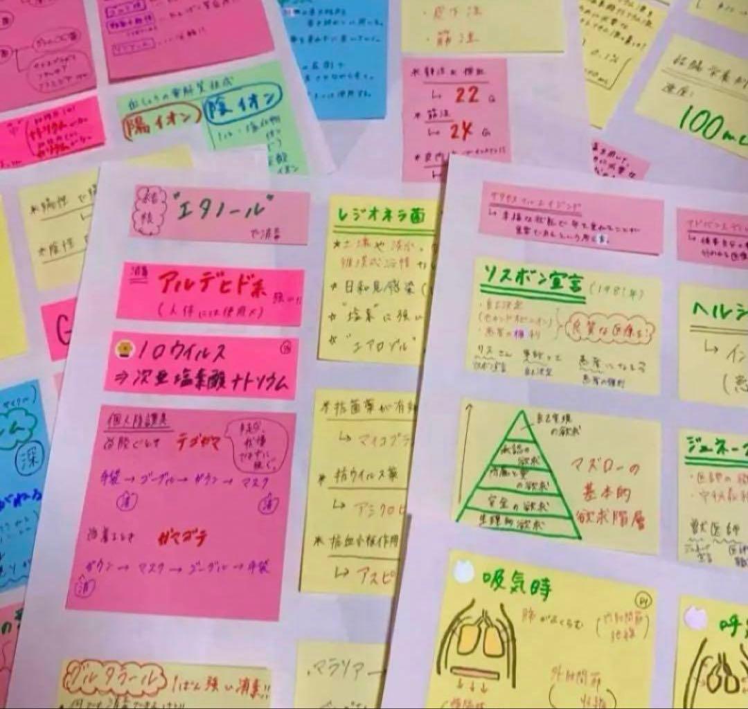 希望額セール！　大好評！付箋700枚　看護学生　看護師国家試験　付箋ノート解剖学