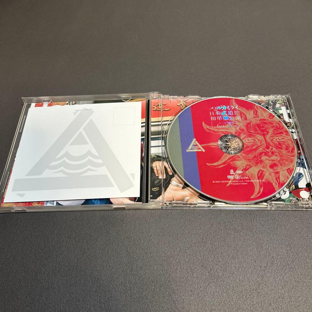 ハルカミライ DVD