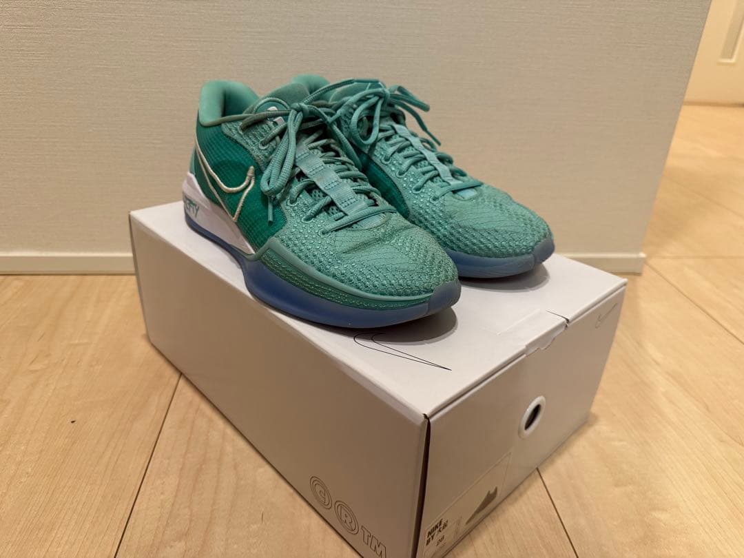【値下げ】Sabrina1 28cm (Nike By you)