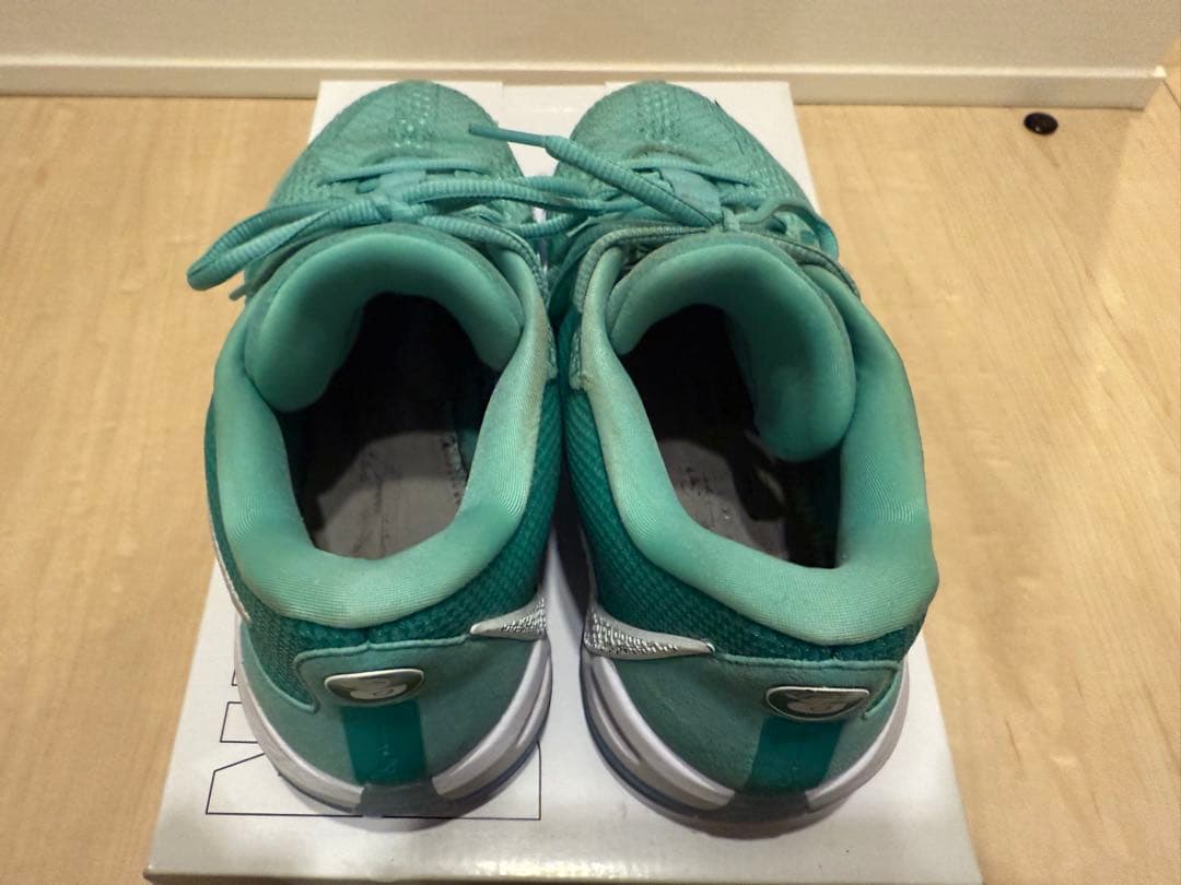 【値下げ】Sabrina1 28cm (Nike By you)