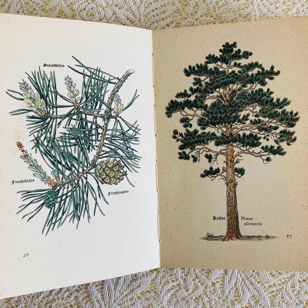 まとめ売り♪　インゼル文庫3点セット　鳥・蝶・木の図鑑　ドイツ古書