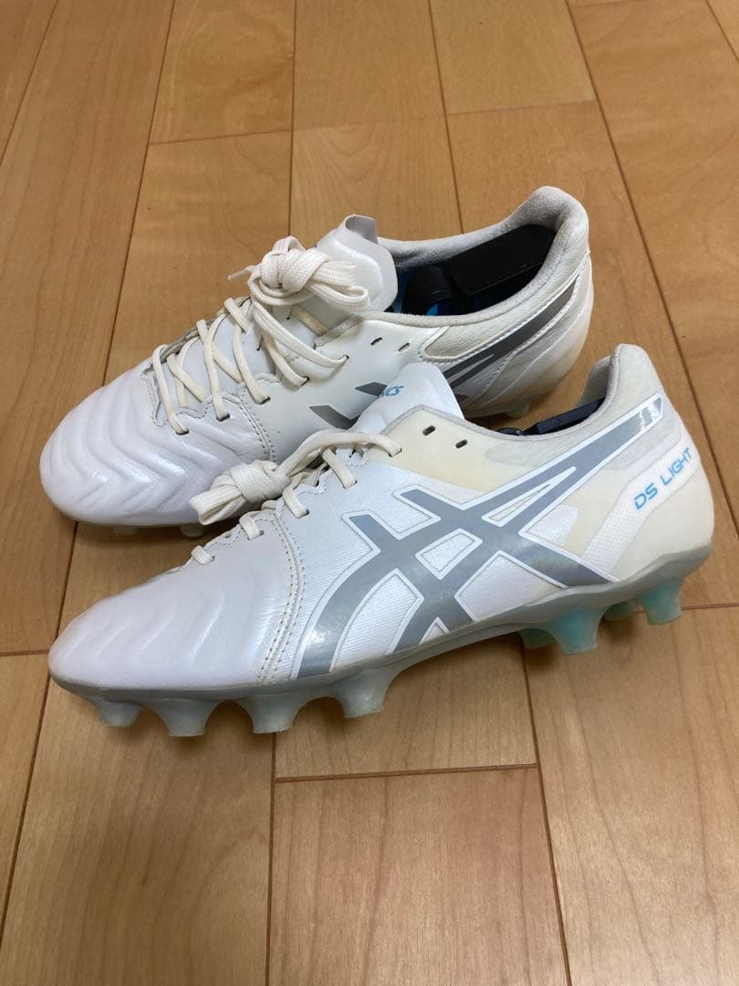 【美品】25.0cm ASICS DSライトアシックス