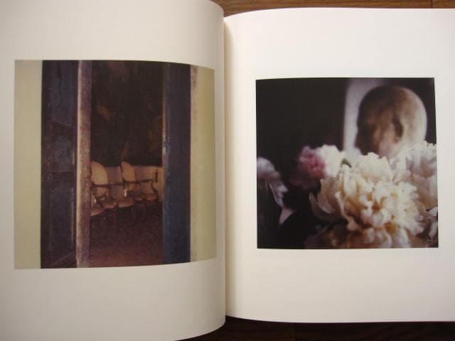 サイ・トゥオンブリーの写真 変奏のリリシズム　Cy Twombly