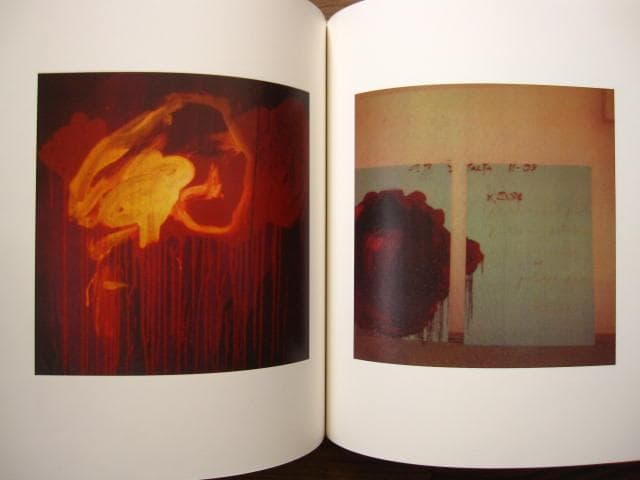 サイ・トゥオンブリーの写真 変奏のリリシズム　Cy Twombly