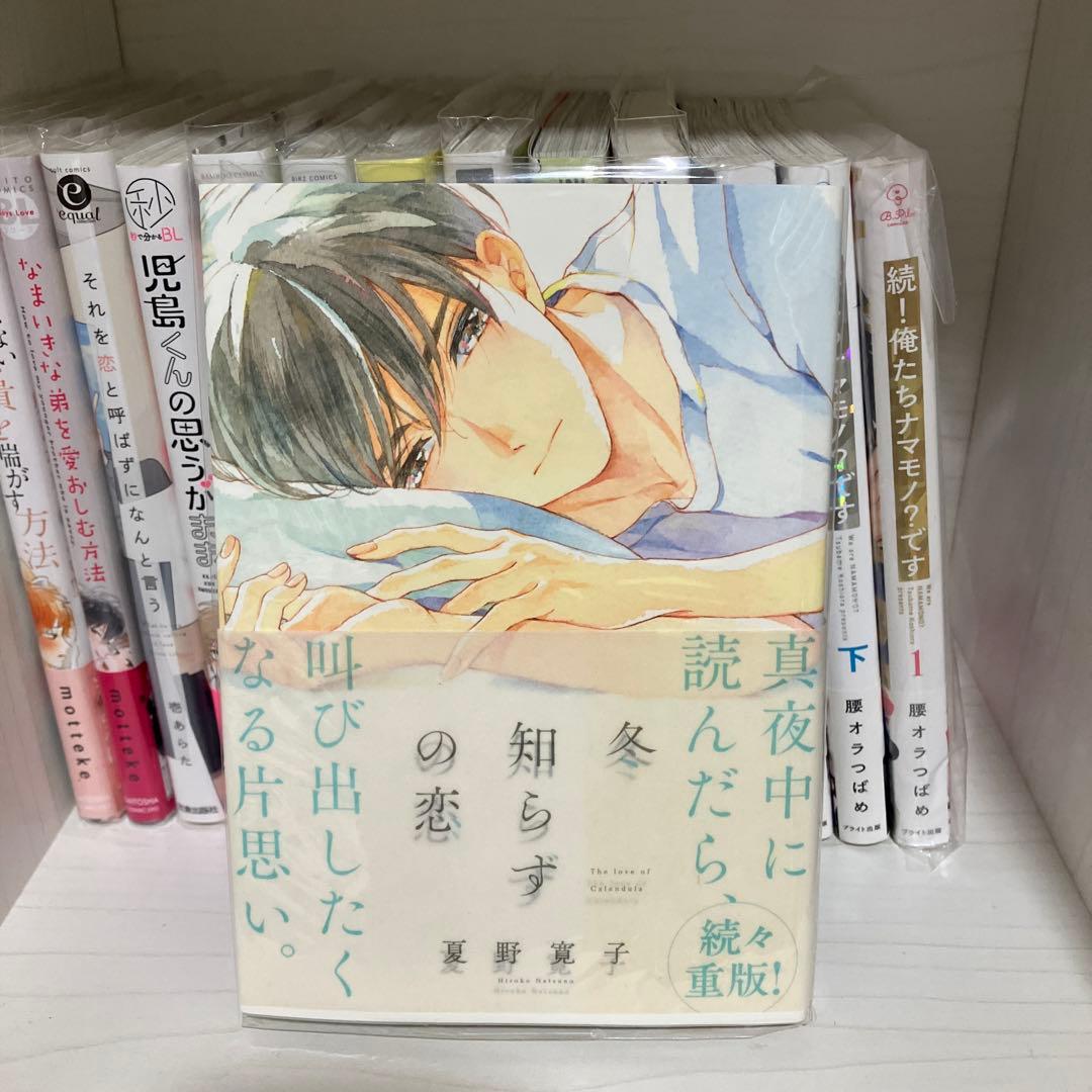 BL漫画 まとめ売り 腐女子 腐男子 BLコミック