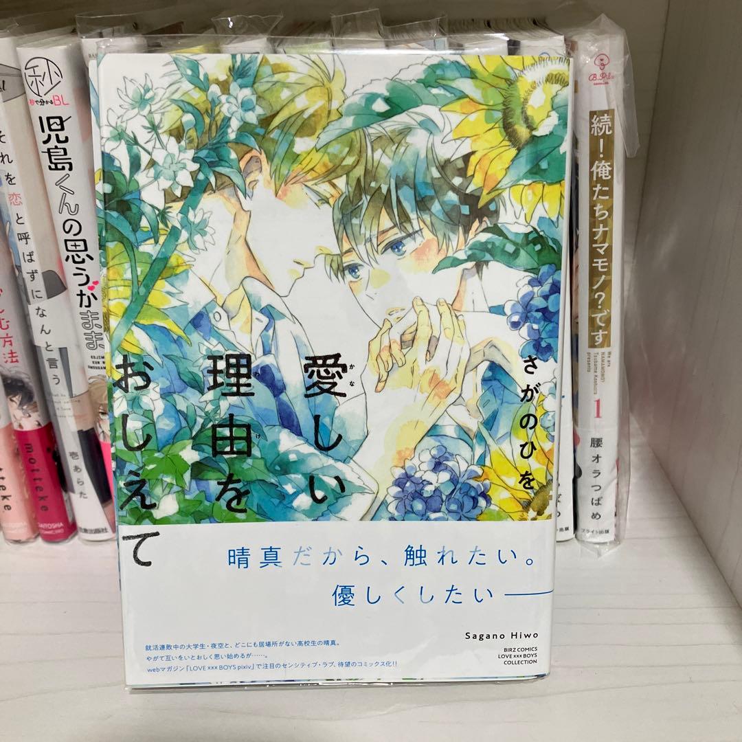 BL漫画 まとめ売り 腐女子 腐男子 BLコミック