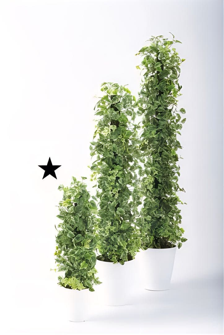 光触媒　人工観葉植物　ウォールグリーン　フェイクグリーン　MIXヘゴマーブル