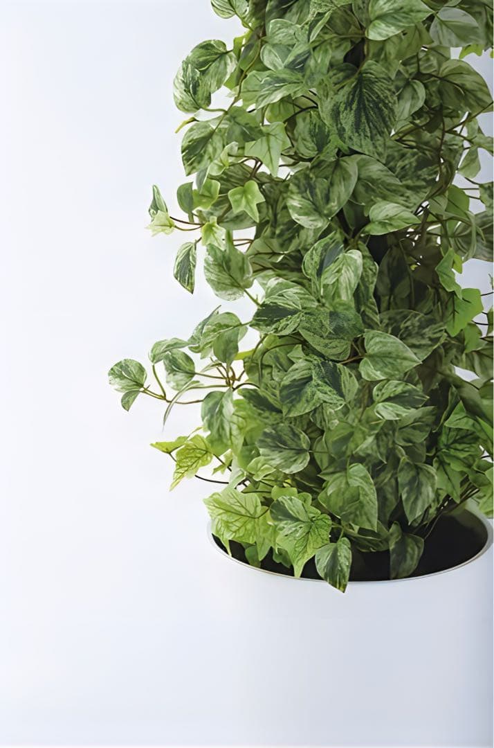 光触媒　人工観葉植物　ウォールグリーン　フェイクグリーン　MIXヘゴマーブル