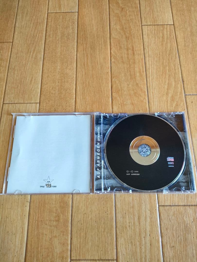 1000枚限定 アンビエント オムニバス V.A. Treat The Gods