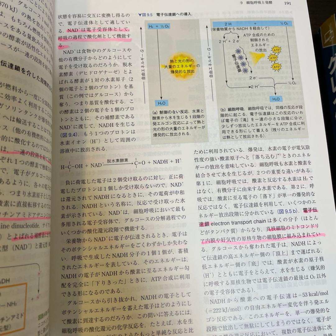 キャンベル生物学