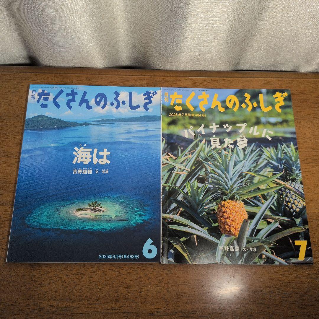 【1年分・12冊セット】月刊 たくさんのふしぎ 2025年4月〜2026年3月