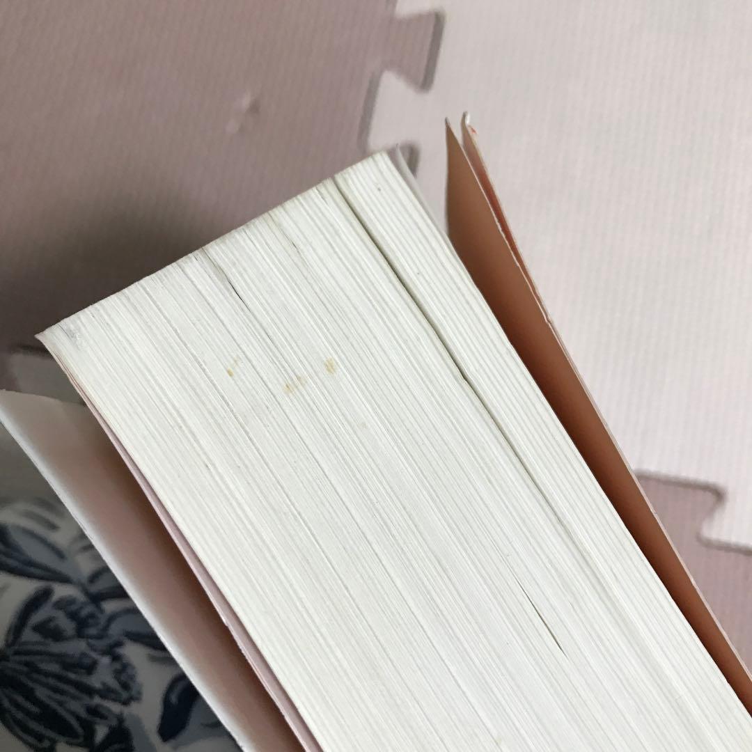洋書 The Catholic Prayer Bible