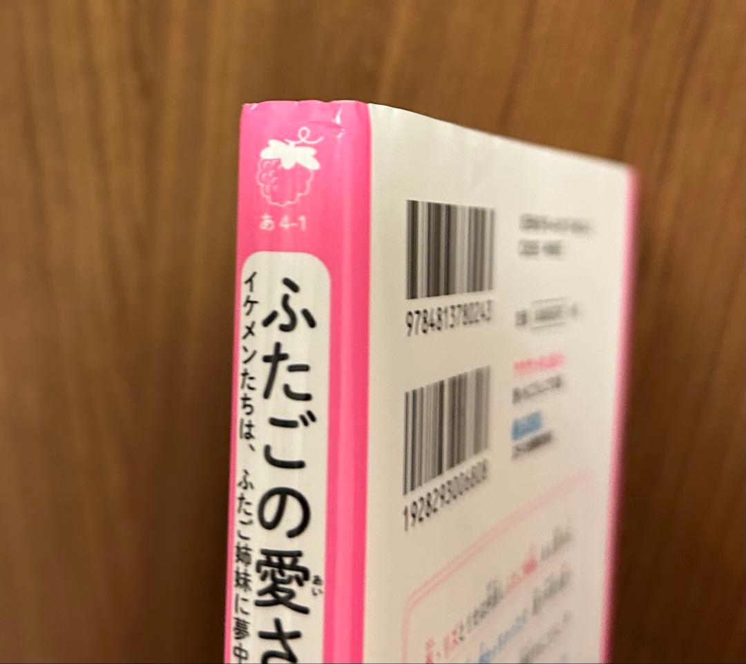 野いちごジュニア文庫　まとめ売り　計２２冊セット