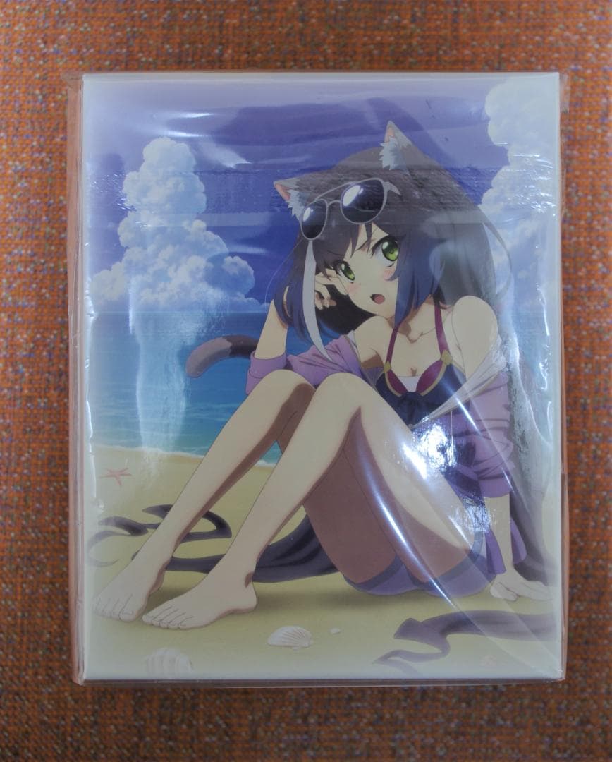 プリンセスコネクト！Re:Dive 限定収納BOX＆全巻セット