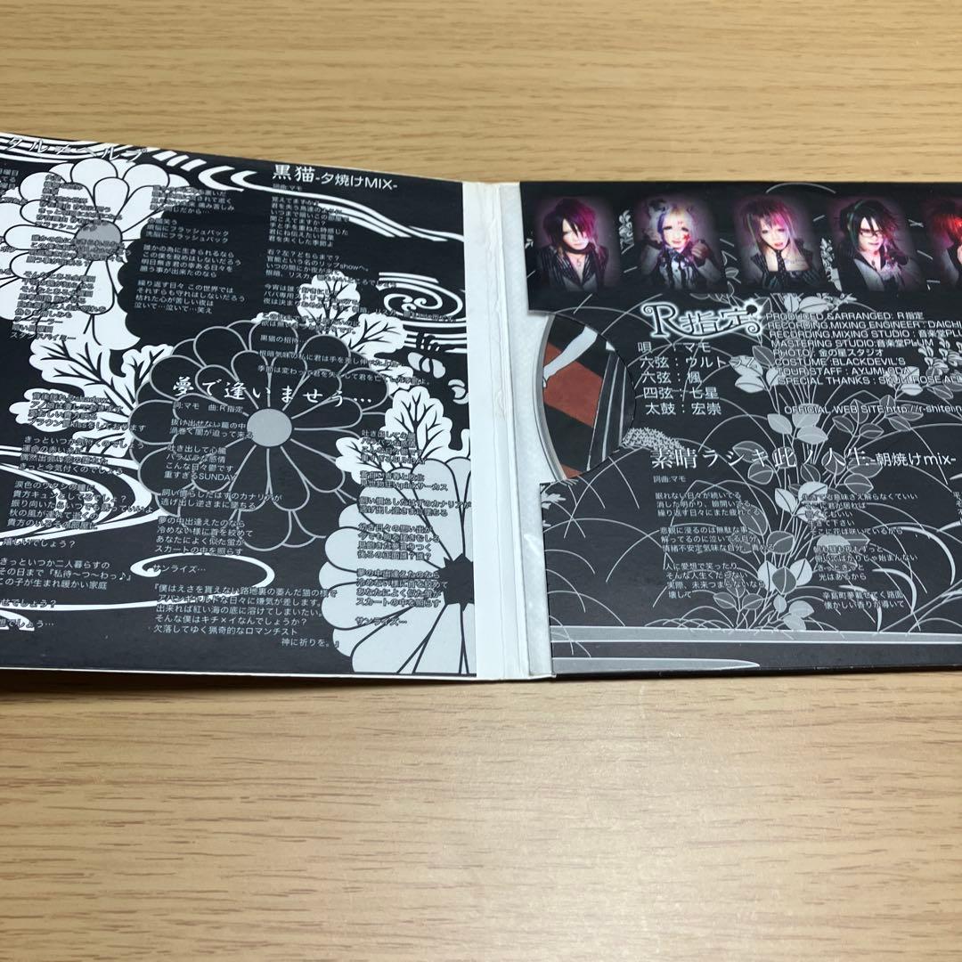 【激レア】R指定　裏音源盤。