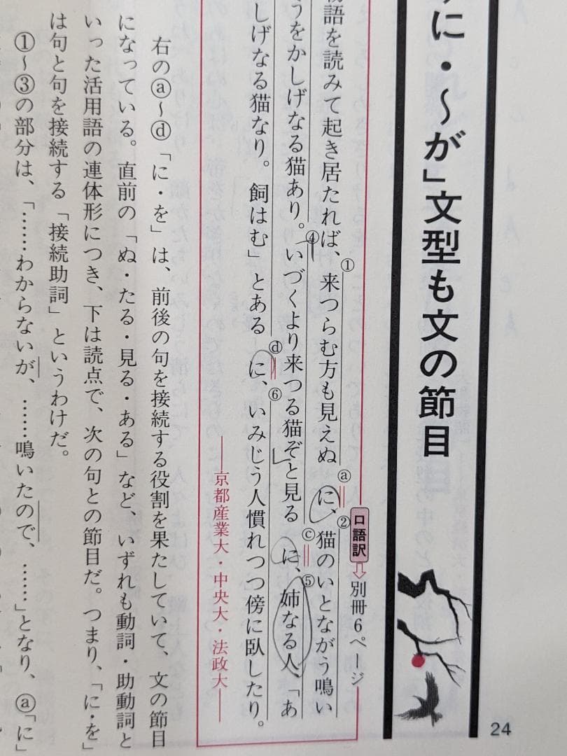 入試サクセス　30講　古文の読解　標準レベル　左藤彦　研数書院