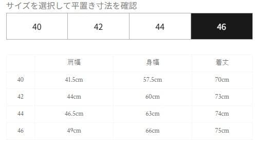 STANDARD CALIFORNIA × Rocky Mountain 46