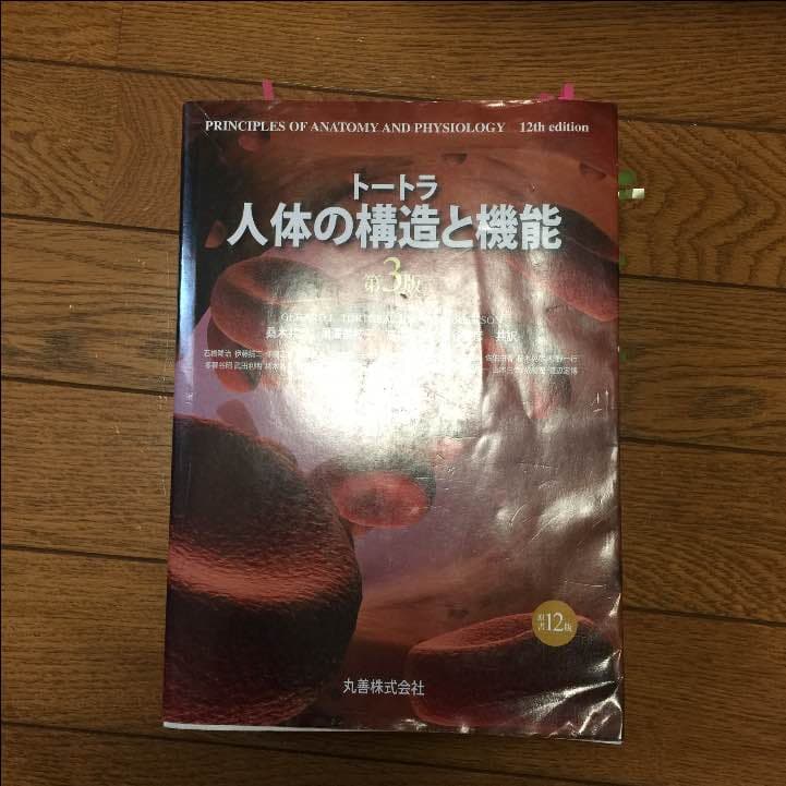 トートラ 人体の構造と機能  12版